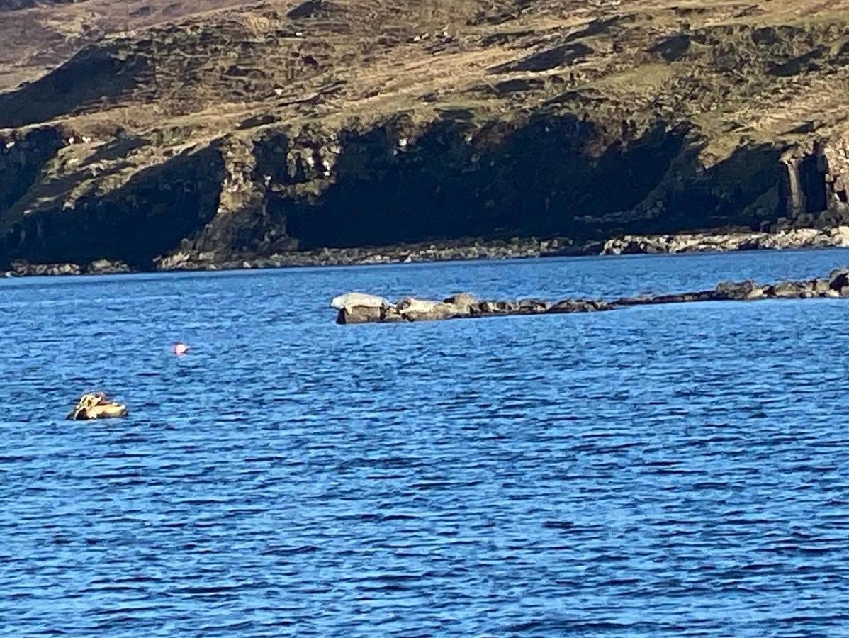 Carters Rest Guesthouse Milovaig Buitenkant foto